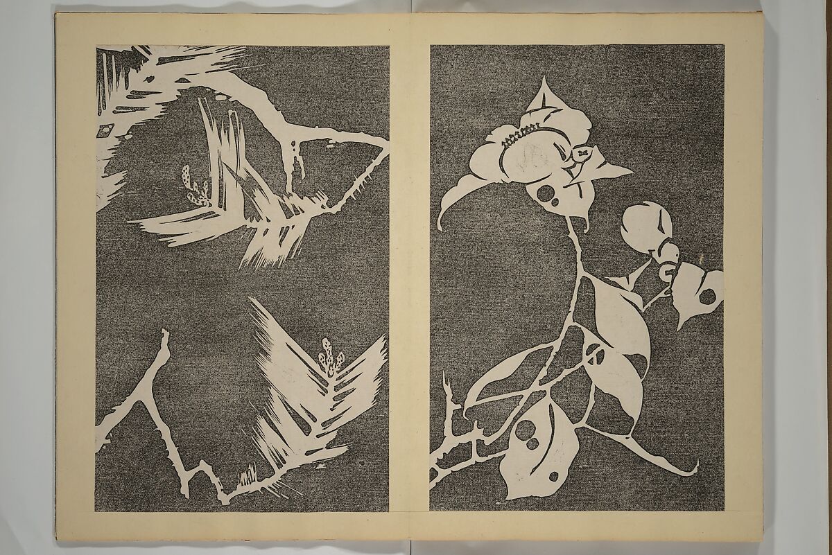 Jakuchū Picture Album (Jakuchū gajō} 若冲画帖, Itō Jakuchū 伊藤若冲 (Japanese, 1716–1800), Set of two woodblock printed books (orihon, accordion-style); ink on paper, Japan