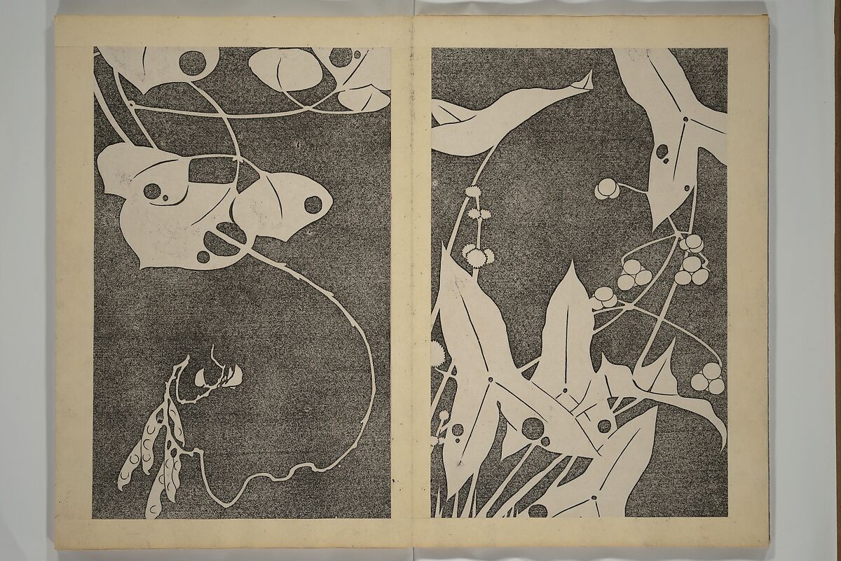 Jakuchū Picture Album (Jakuchū gajō} 若冲画帖, Itō Jakuchū 伊藤若冲 (Japanese, 1716–1800), Set of two woodblock printed books (orihon, accordion-style); ink on paper, Japan