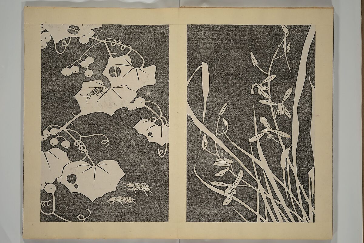 Jakuchū Picture Album (Jakuchū gajō} 若冲画帖, Itō Jakuchū 伊藤若冲 (Japanese, 1716–1800), Set of two woodblock printed books (orihon, accordion-style); ink on paper, Japan