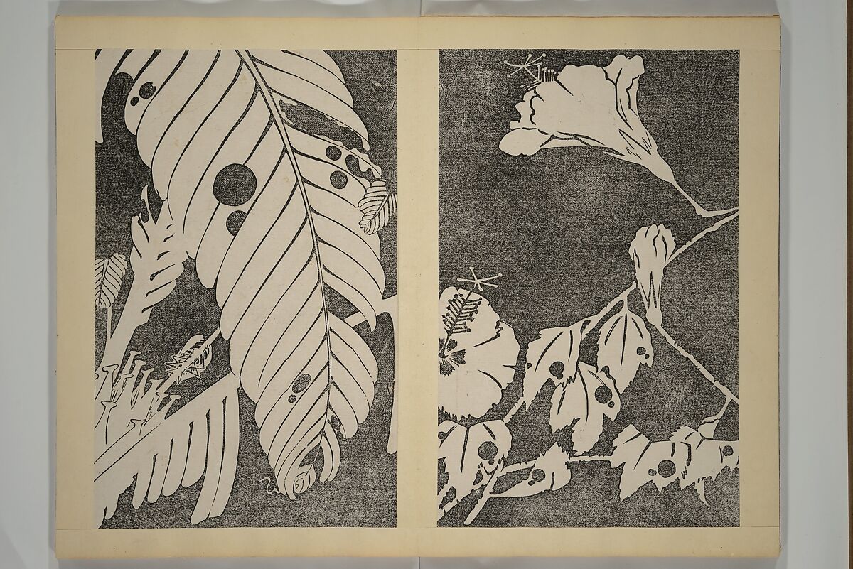 Jakuchū Picture Album (Jakuchū gajō} 若冲画帖, Itō Jakuchū 伊藤若冲 (Japanese, 1716–1800), Set of two woodblock printed books (orihon, accordion-style); ink on paper, Japan