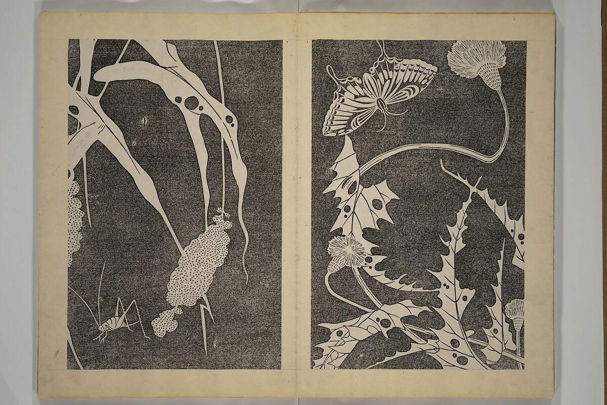 Jakuchū Picture Album (Jakuchū gajō} 若冲画帖, Itō Jakuchū 伊藤若冲 (Japanese, 1716–1800), Set of two woodblock printed books (orihon, accordion-style); ink on paper, Japan