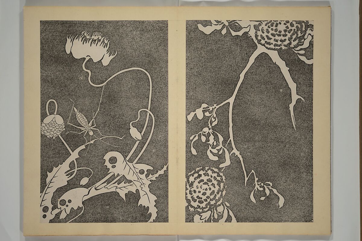 Jakuchū Picture Album (Jakuchū gajō} 若冲画帖, Itō Jakuchū 伊藤若冲 (Japanese, 1716–1800), Set of two woodblock printed books (orihon, accordion-style); ink on paper, Japan