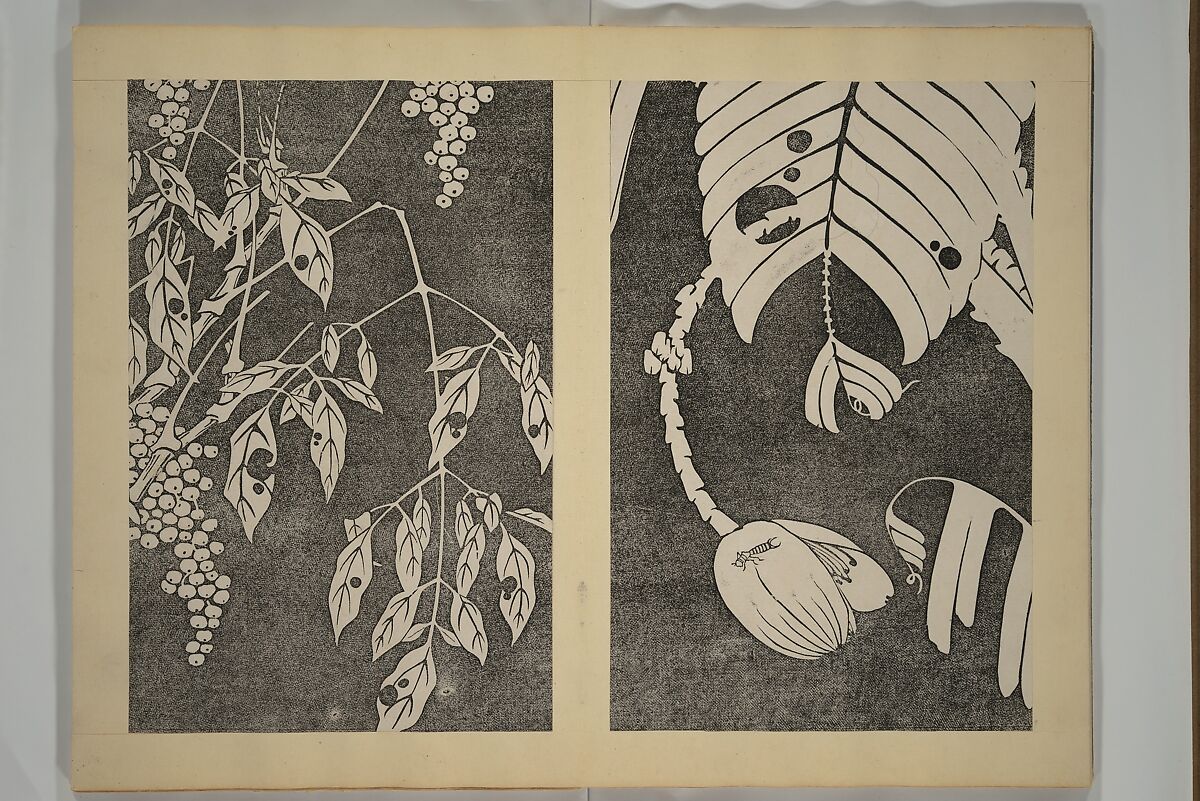 Jakuchū Picture Album (Jakuchū gajō} 若冲画帖, Itō Jakuchū 伊藤若冲 (Japanese, 1716–1800), Set of two woodblock printed books (orihon, accordion-style); ink on paper, Japan