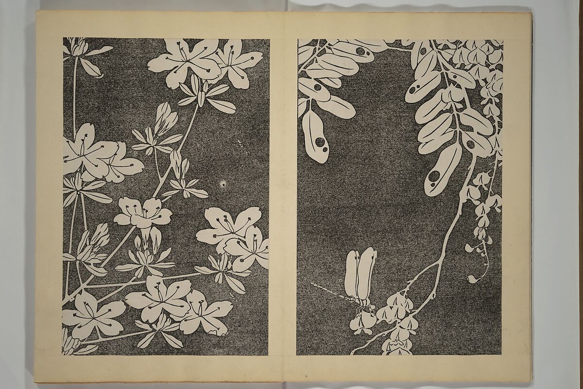 Jakuchū Picture Album (Jakuchū gajō} 若冲画帖, Itō Jakuchū 伊藤若冲 (Japanese, 1716–1800), Set of two woodblock printed books (orihon, accordion-style); ink on paper, Japan