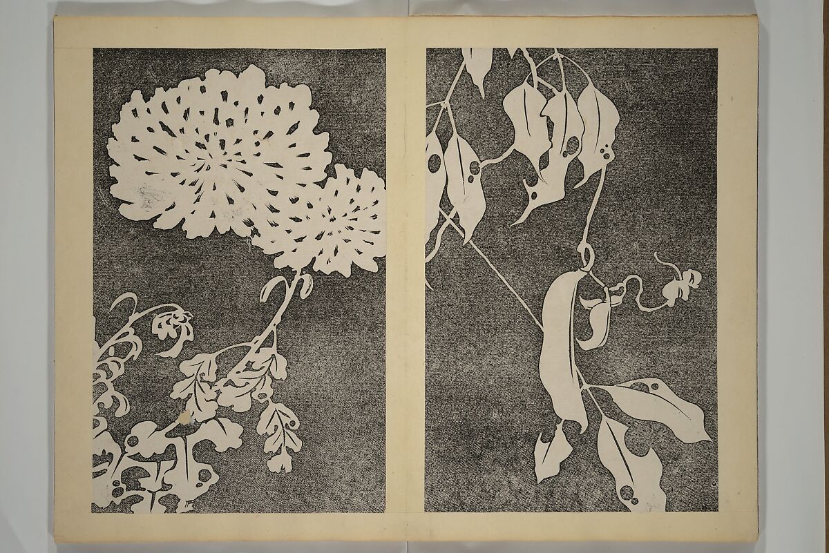 Jakuchū Picture Album (Jakuchū gajō} 若冲画帖, Itō Jakuchū 伊藤若冲 (Japanese, 1716–1800), Set of two woodblock printed books (orihon, accordion-style); ink on paper, Japan