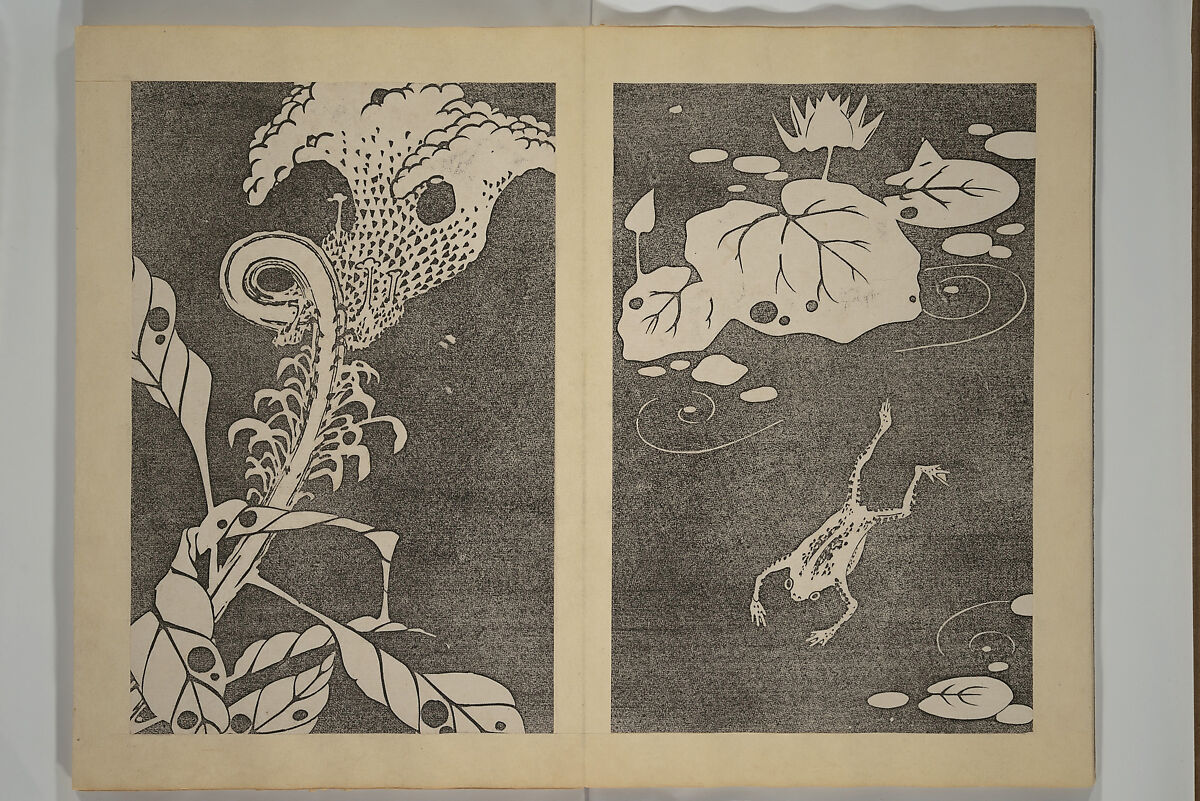 Jakuchū Picture Album (Jakuchū gajō} 若冲画帖, Itō Jakuchū 伊藤若冲 (Japanese, 1716–1800), Set of two woodblock printed books (orihon, accordion-style); ink on paper, Japan 