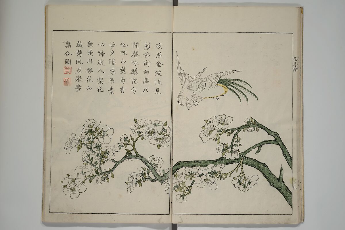 The Mustard Seed Garden Painting Manua} 芥子園畫傳, Wang Gai 王槩 (Chinese, 1645–1710), Set of two woodblock printed books; ink and color on paper, Japan