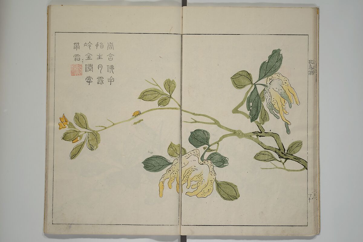 The Mustard Seed Garden Painting Manua} 芥子園畫傳, Wang Gai 王槩 (Chinese, 1645–1710), Set of two woodblock printed books; ink and color on paper, Japan