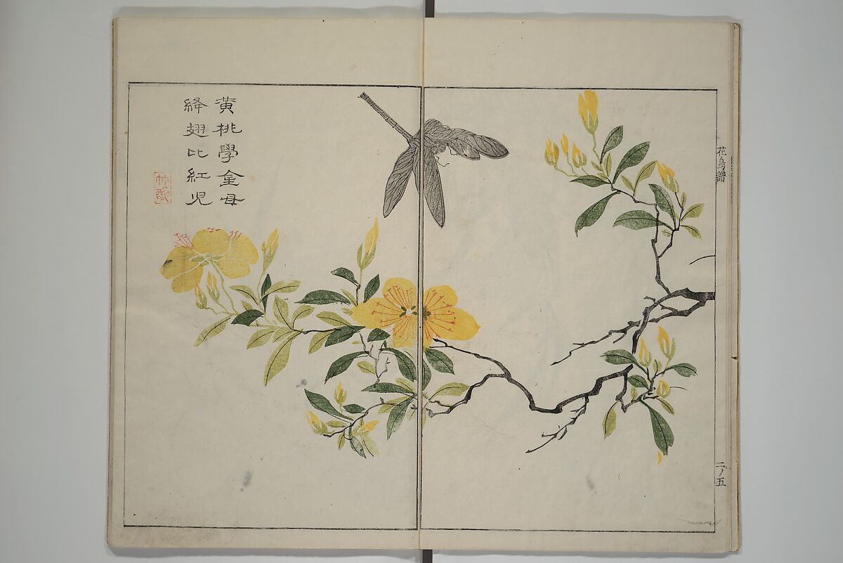 The Mustard Seed Garden Painting Manua} 芥子園畫傳, Wang Gai 王槩 (Chinese, 1645–1710), Set of two woodblock printed books; ink and color on paper, Japan
