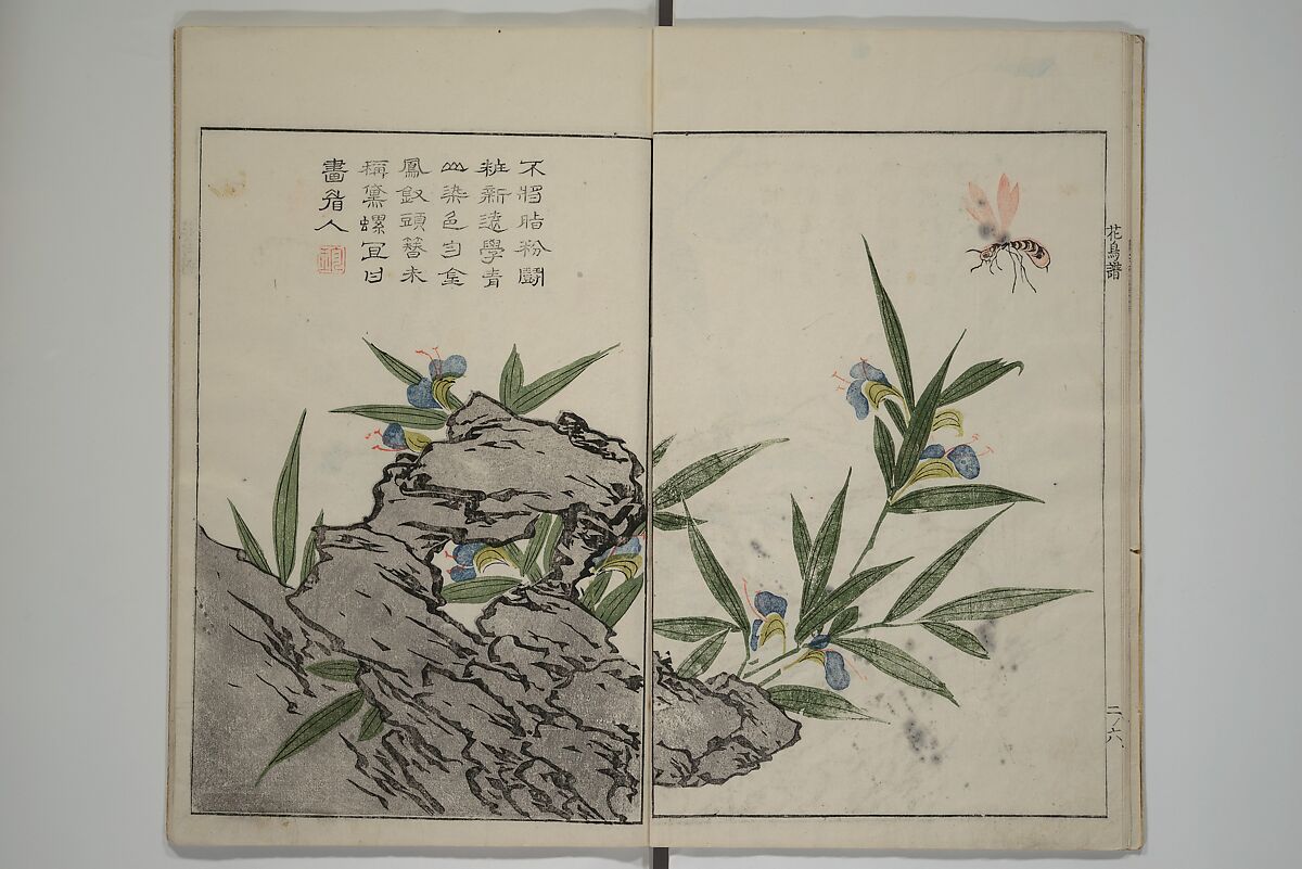 The Mustard Seed Garden Painting Manua} 芥子園畫傳, Wang Gai 王槩 (Chinese, 1645–1710), Set of two woodblock printed books; ink and color on paper, Japan