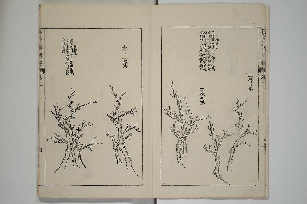 The Mustard Seed Garden Painting Manual  (Japanese reprint)  芥子園畫傳, Wang Gai 王槩 (Chinese, 1645–1710), Set of five woodblock printed books; ink and color on paper, Japan
