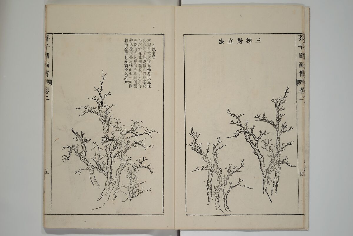 The Mustard Seed Garden Painting Manual  (Japanese reprint)  芥子園畫傳, Wang Gai 王槩 (Chinese, 1645–1710), Set of five woodblock printed books; ink and color on paper, Japan