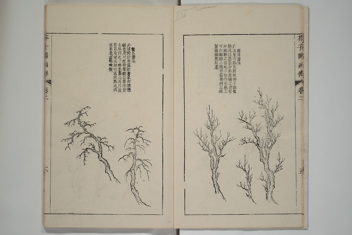The Mustard Seed Garden Painting Manual  (Japanese reprint)  芥子園畫傳, Wang Gai 王槩 (Chinese, 1645–1710), Set of five woodblock printed books; ink and color on paper, Japan