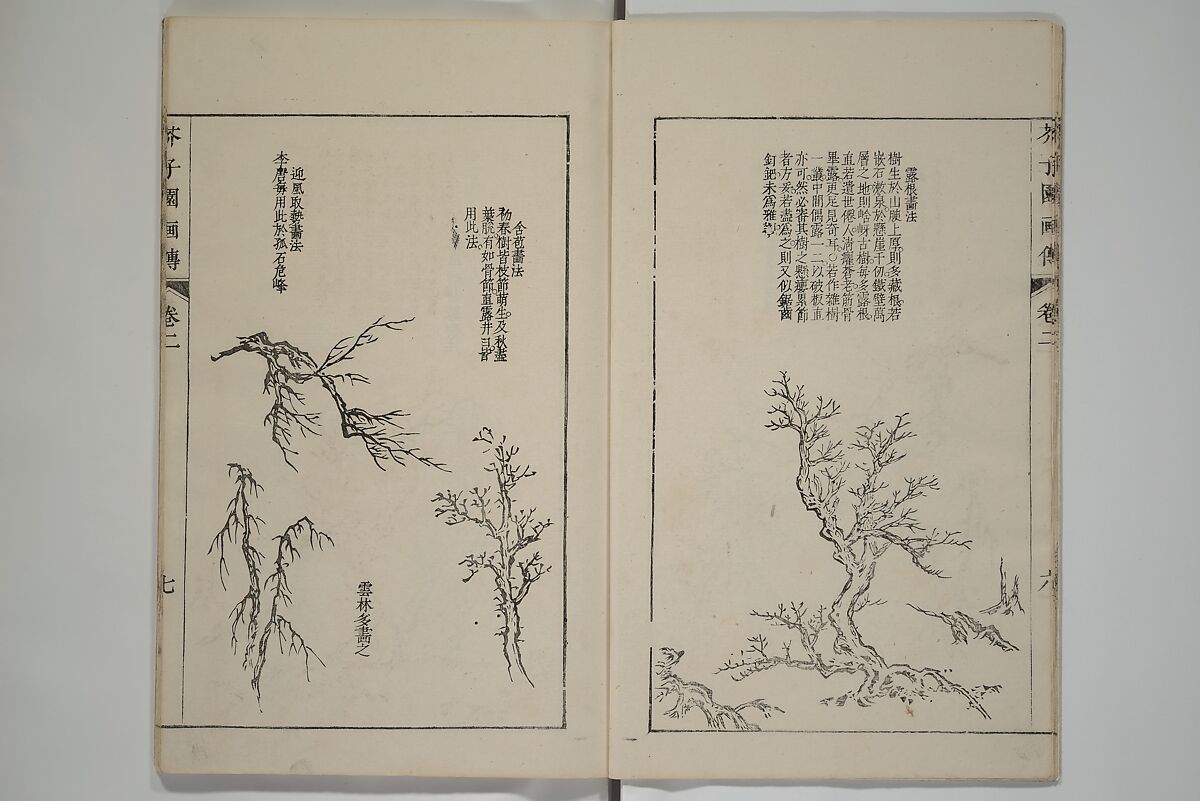 The Mustard Seed Garden Painting Manual  (Japanese reprint)  芥子園畫傳, Wang Gai 王槩 (Chinese, 1645–1710), Set of five woodblock printed books; ink and color on paper, Japan