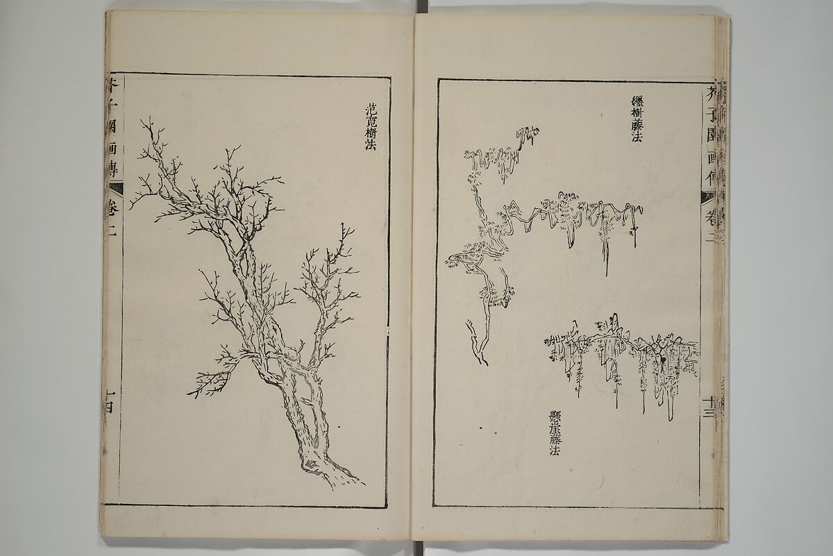 The Mustard Seed Garden Painting Manual  (Japanese reprint)  芥子園畫傳, Wang Gai 王槩 (Chinese, 1645–1710), Set of five woodblock printed books; ink and color on paper, Japan