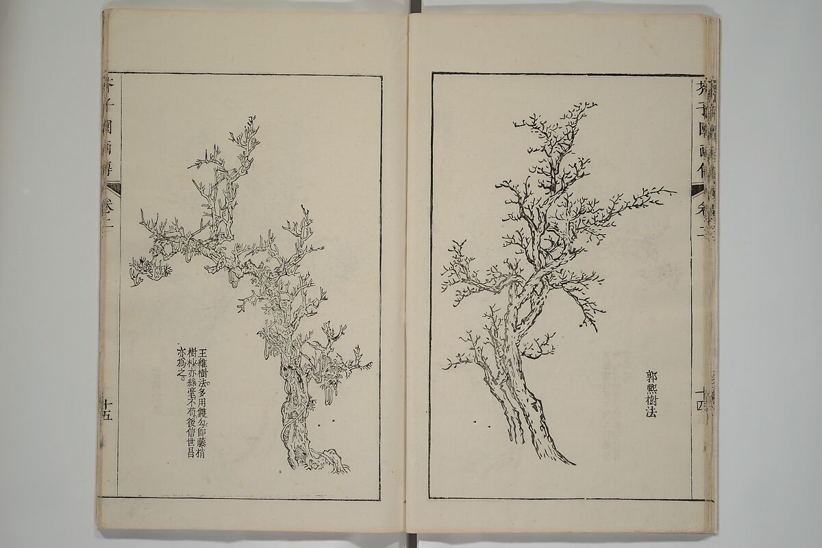 The Mustard Seed Garden Painting Manual  (Japanese reprint)  芥子園畫傳, Wang Gai 王槩 (Chinese, 1645–1710), Set of five woodblock printed books; ink and color on paper, Japan