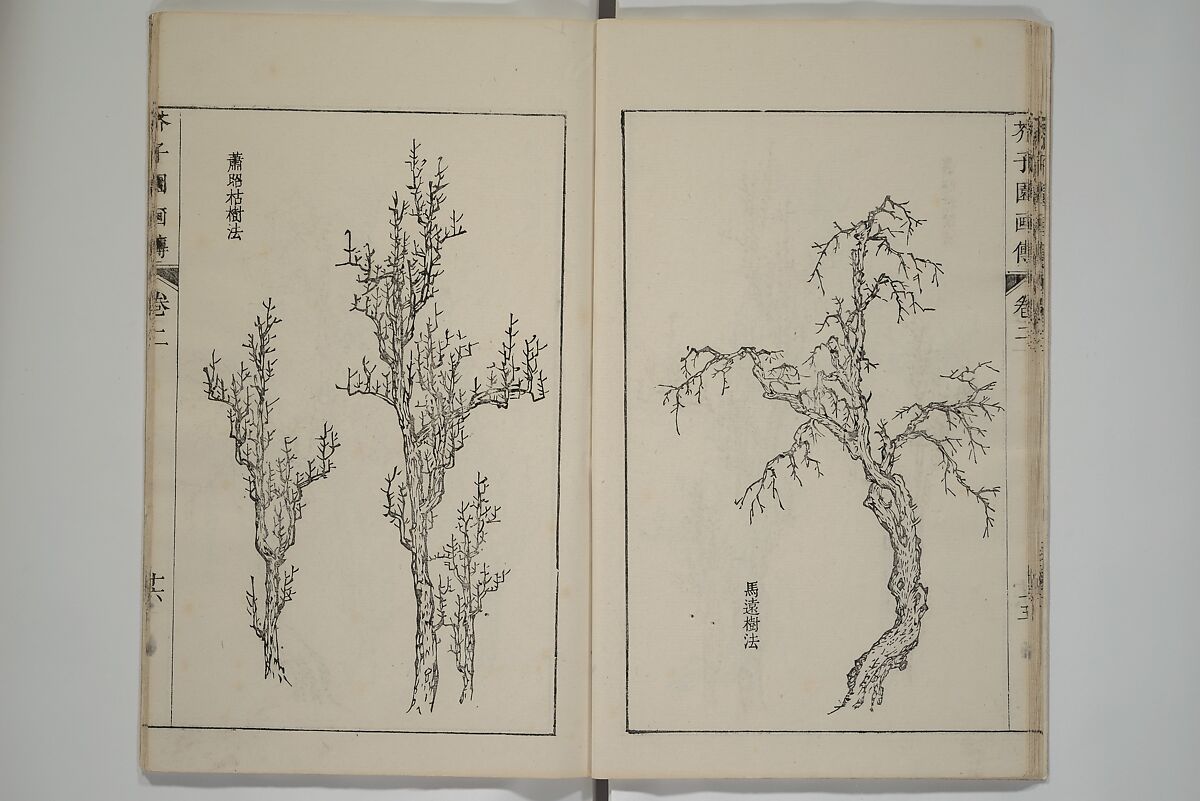 The Mustard Seed Garden Painting Manual  (Japanese reprint)  芥子園畫傳, Wang Gai 王槩 (Chinese, 1645–1710), Set of five woodblock printed books; ink and color on paper, Japan