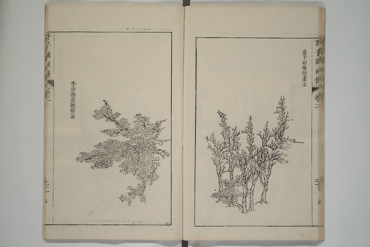 The Mustard Seed Garden Painting Manual  (Japanese reprint)  芥子園畫傳, Wang Gai 王槩 (Chinese, 1645–1710), Set of five woodblock printed books; ink and color on paper, Japan