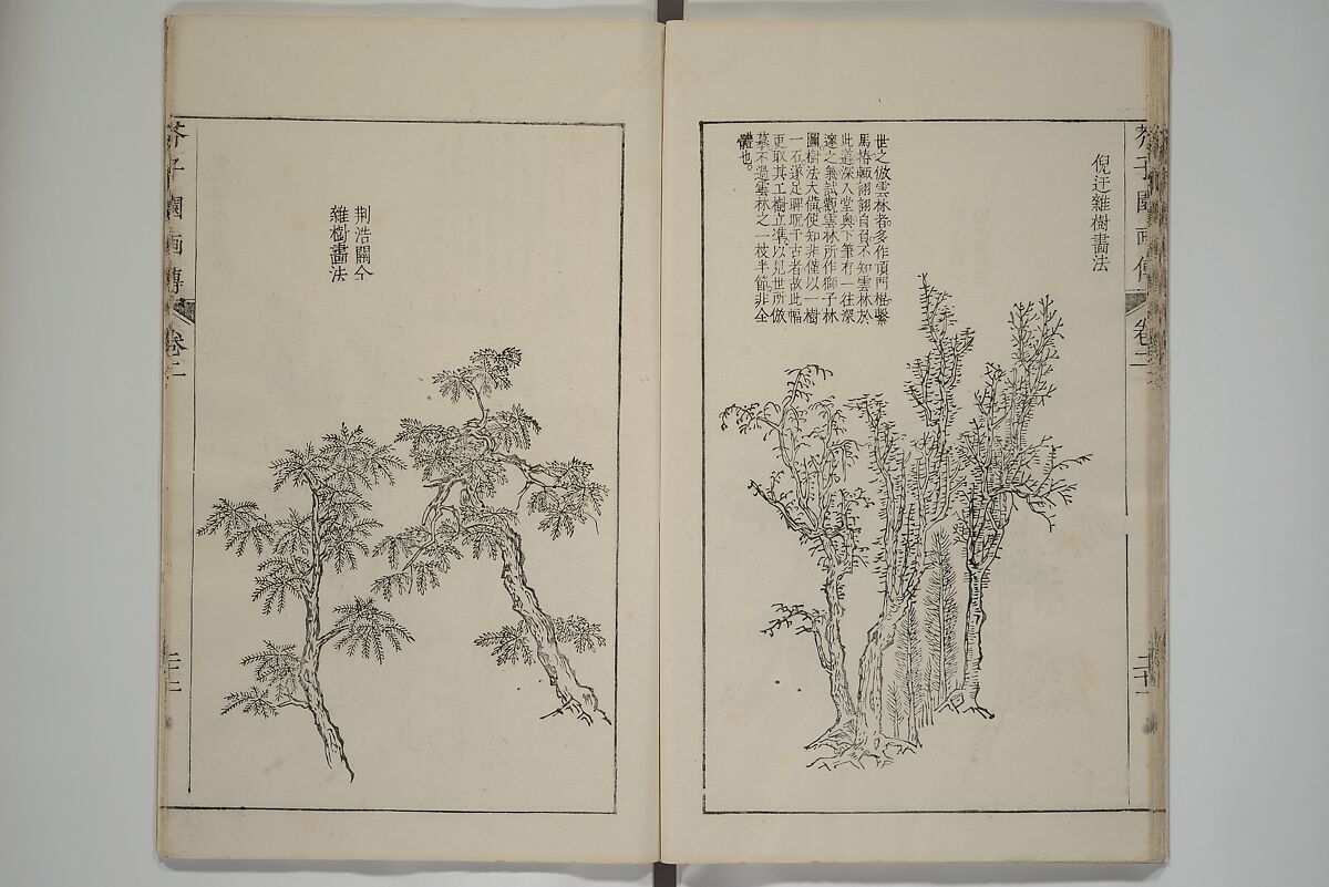 The Mustard Seed Garden Painting Manual  (Japanese reprint)  芥子園畫傳, Wang Gai 王槩 (Chinese, 1645–1710), Set of five woodblock printed books; ink and color on paper, Japan