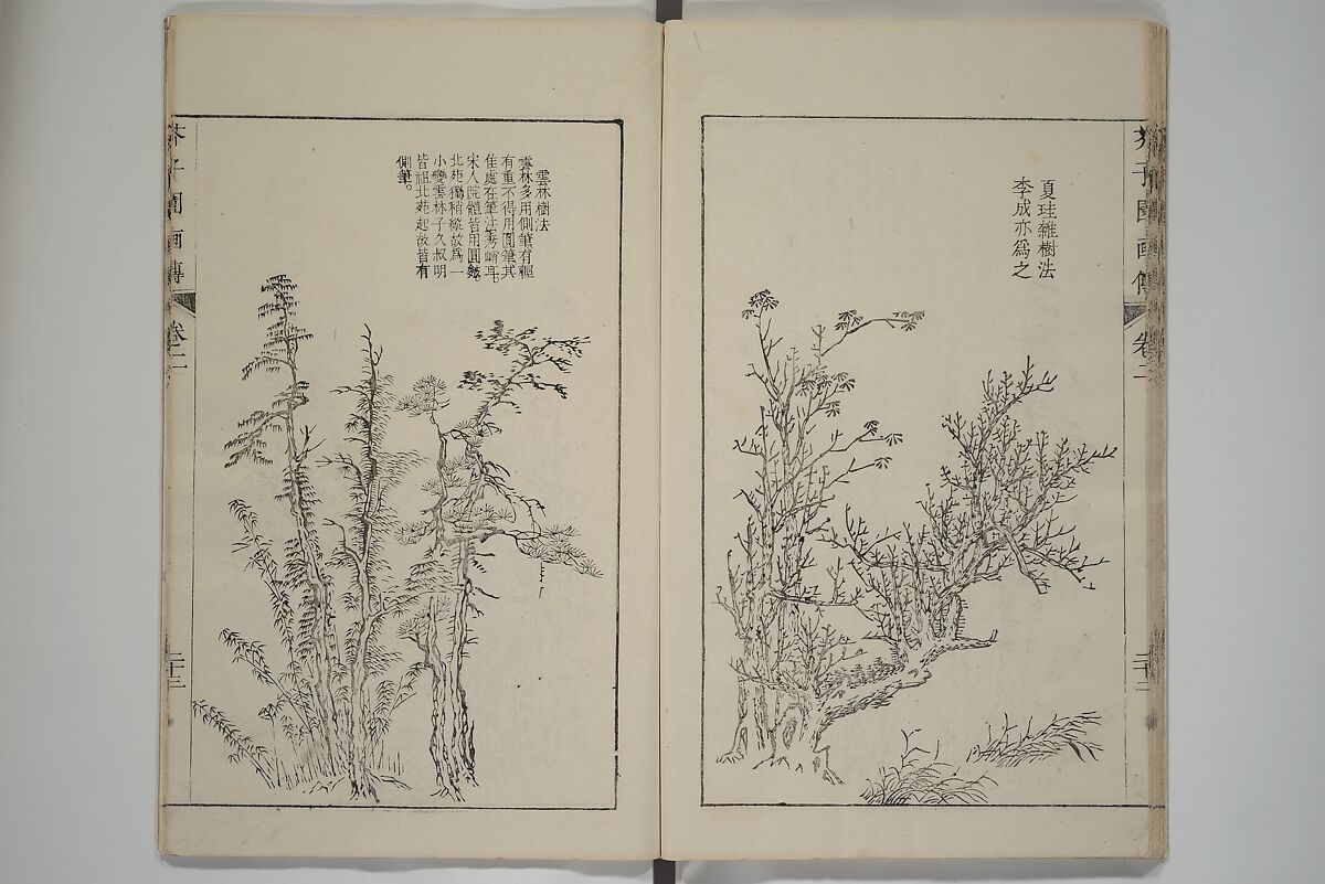 The Mustard Seed Garden Painting Manual  (Japanese reprint)  芥子園畫傳, Wang Gai 王槩 (Chinese, 1645–1710), Set of five woodblock printed books; ink and color on paper, Japan
