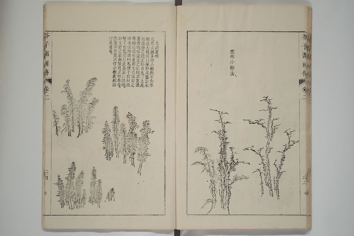 The Mustard Seed Garden Painting Manual  (Japanese reprint)  芥子園畫傳, Wang Gai 王槩 (Chinese, 1645–1710), Set of five woodblock printed books; ink and color on paper, Japan