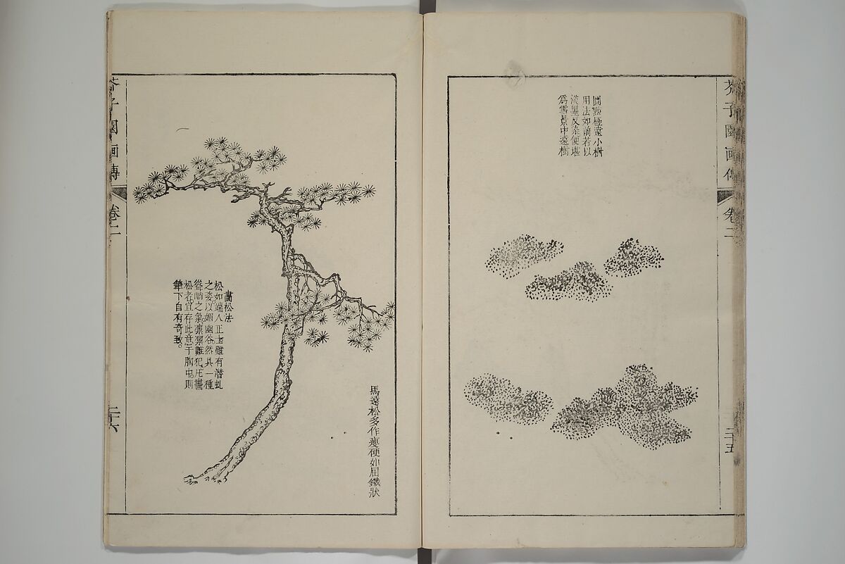 The Mustard Seed Garden Painting Manual  (Japanese reprint)  芥子園畫傳, Wang Gai 王槩 (Chinese, 1645–1710), Set of five woodblock printed books; ink and color on paper, Japan