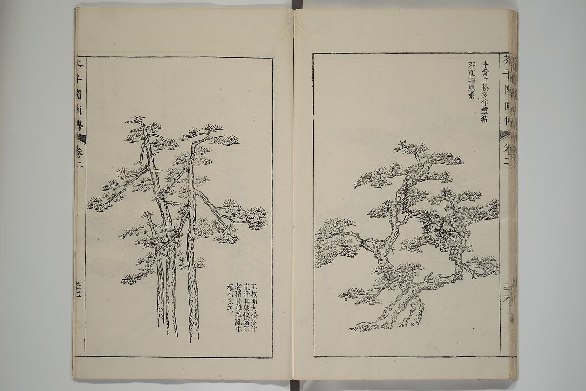 The Mustard Seed Garden Painting Manual  (Japanese reprint)  芥子園畫傳, Wang Gai 王槩 (Chinese, 1645–1710), Set of five woodblock printed books; ink and color on paper, Japan