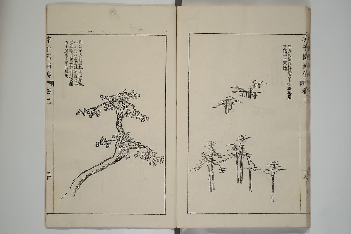 The Mustard Seed Garden Painting Manual  (Japanese reprint)  芥子園畫傳, Wang Gai 王槩 (Chinese, 1645–1710), Set of five woodblock printed books; ink and color on paper, Japan