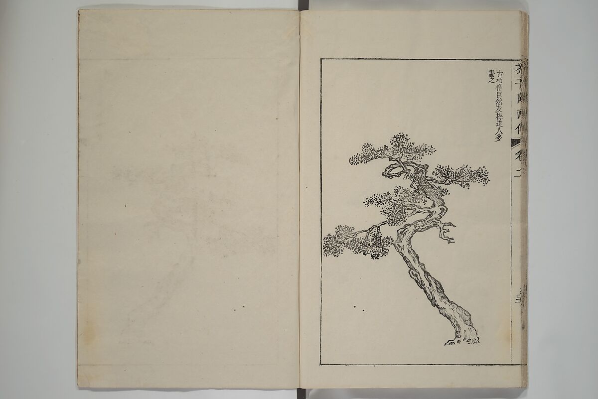 The Mustard Seed Garden Painting Manual  (Japanese reprint)  芥子園畫傳, Wang Gai 王槩 (Chinese, 1645–1710), Set of five woodblock printed books; ink and color on paper, Japan