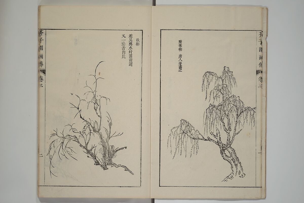 The Mustard Seed Garden Painting Manual  (Japanese reprint)  芥子園畫傳, Wang Gai 王槩 (Chinese, 1645–1710), Set of five woodblock printed books; ink and color on paper, Japan