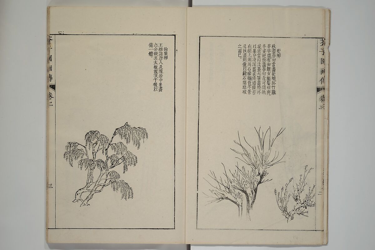 The Mustard Seed Garden Painting Manual  (Japanese reprint)  芥子園畫傳, Wang Gai 王槩 (Chinese, 1645–1710), Set of five woodblock printed books; ink and color on paper, Japan
