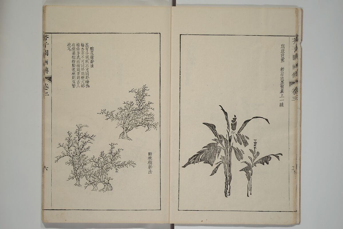 The Mustard Seed Garden Painting Manual  (Japanese reprint)  芥子園畫傳, Wang Gai 王槩 (Chinese, 1645–1710), Set of five woodblock printed books; ink and color on paper, Japan