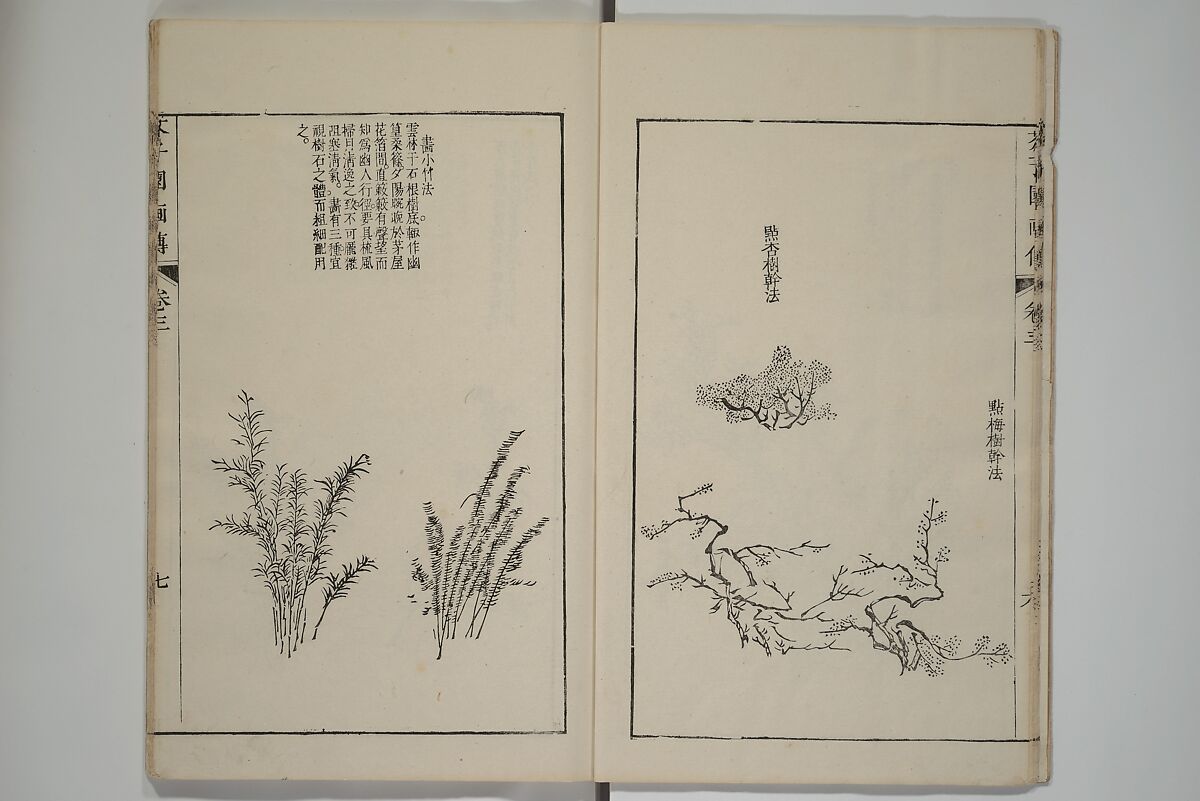 The Mustard Seed Garden Painting Manual  (Japanese reprint)  芥子園畫傳, Wang Gai 王槩 (Chinese, 1645–1710), Set of five woodblock printed books; ink and color on paper, Japan