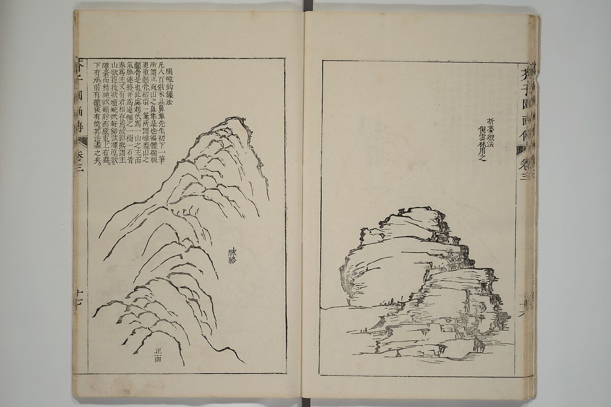 The Mustard Seed Garden Painting Manual  (Japanese reprint)  芥子園畫傳, Wang Gai 王槩 (Chinese, 1645–1710), Set of five woodblock printed books; ink and color on paper, Japan