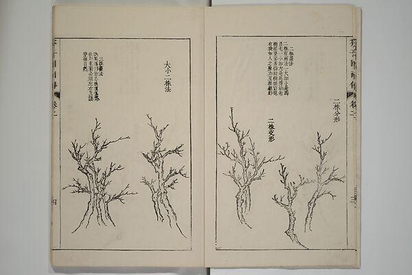The Mustard Seed Garden Painting Manual  (Japanese reprint)  芥子園畫傳