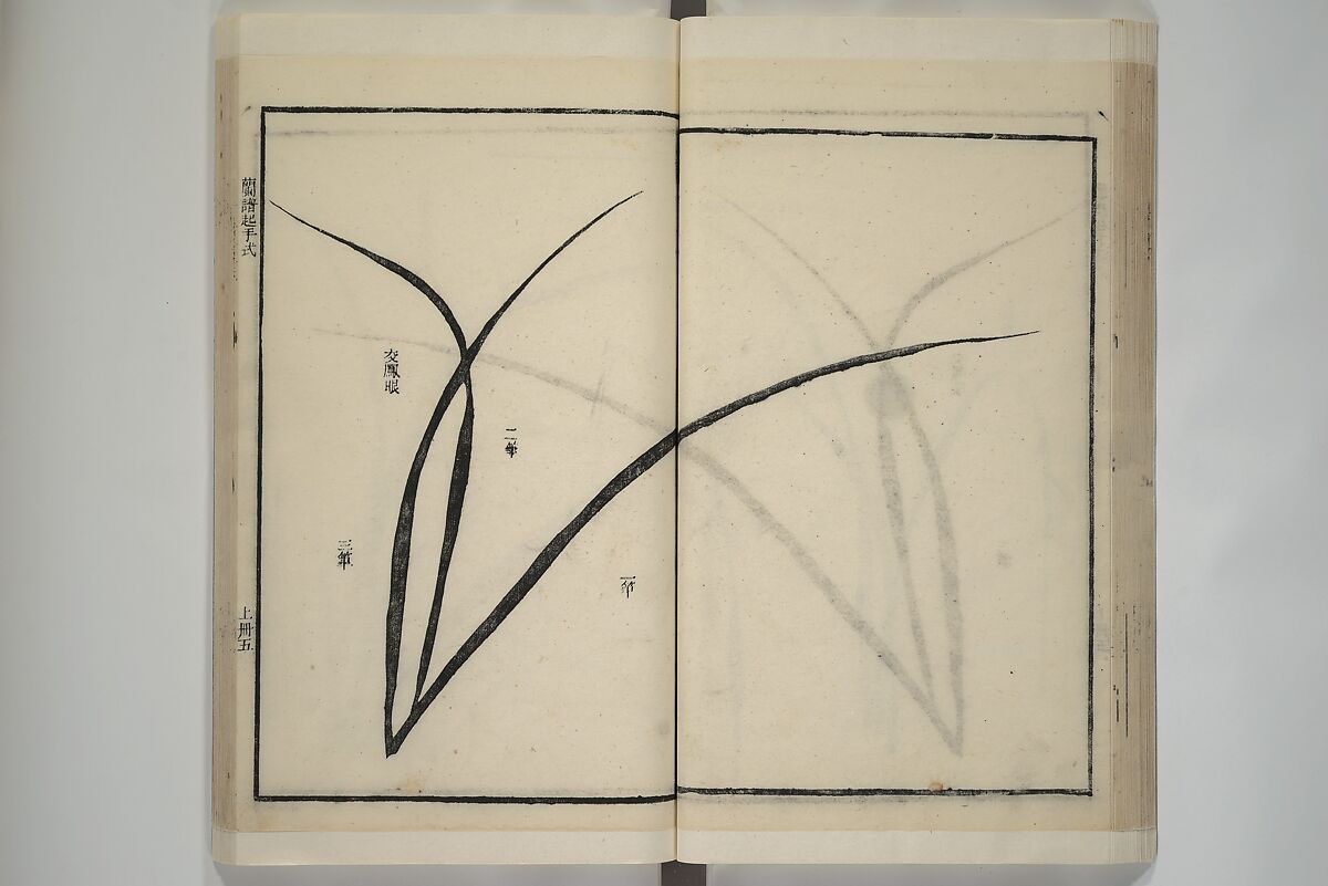 Part 2 from The Mustard Seed Garden Painting Manual (3rd Chinese edition)  芥子園畫傳, Wang Gai 王槩 (Chinese, 1645–1710), Set of four woodblock printed books; ink and color on paper, China