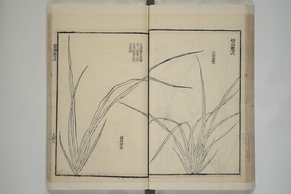 Part 2 from The Mustard Seed Garden Painting Manual (3rd Chinese edition)  芥子園畫傳, Wang Gai 王槩 (Chinese, 1645–1710), Set of four woodblock printed books; ink and color on paper, China