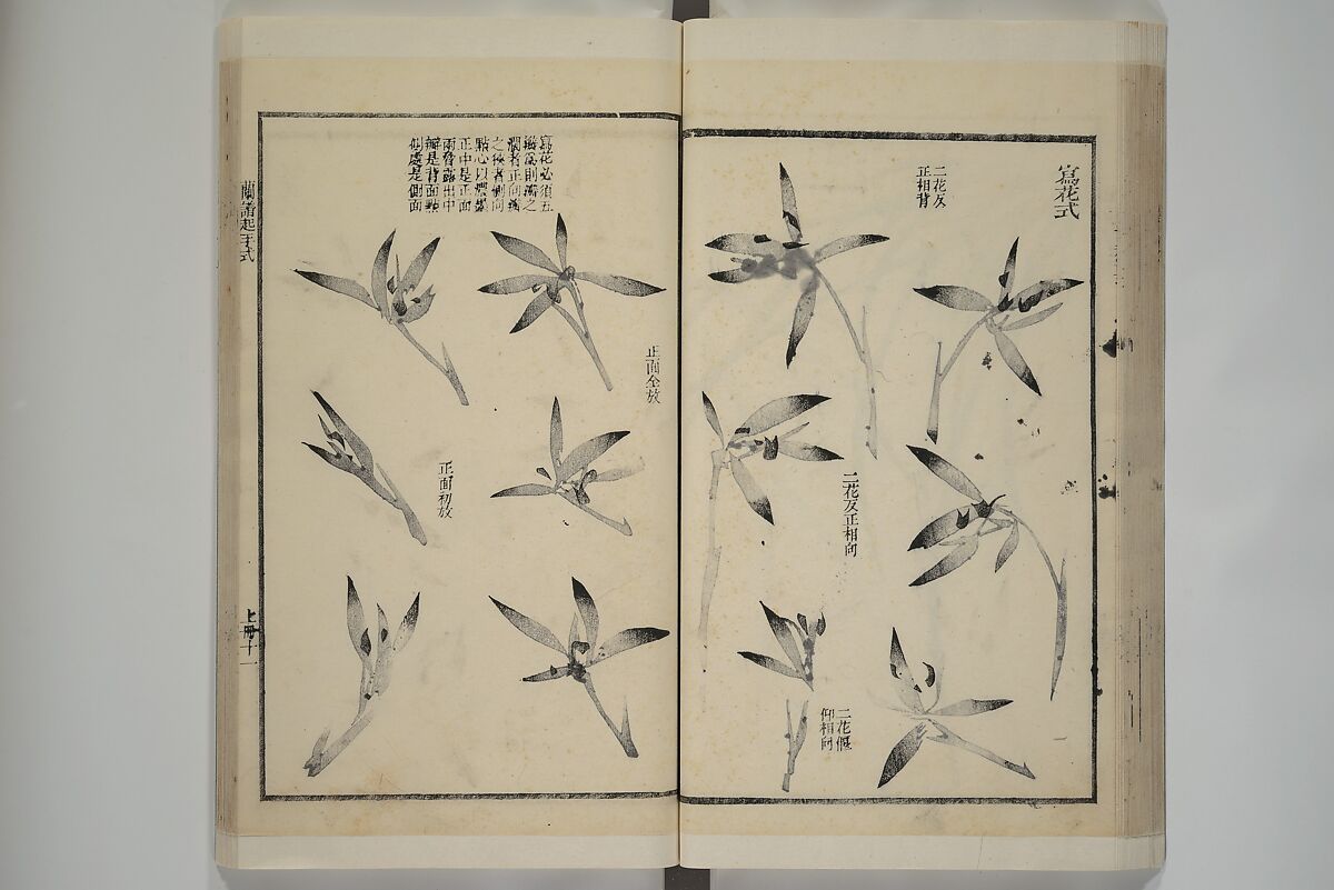 Part 2 from The Mustard Seed Garden Painting Manual (3rd Chinese edition)  芥子園畫傳, Wang Gai 王槩 (Chinese, 1645–1710), Set of four woodblock printed books; ink and color on paper, China