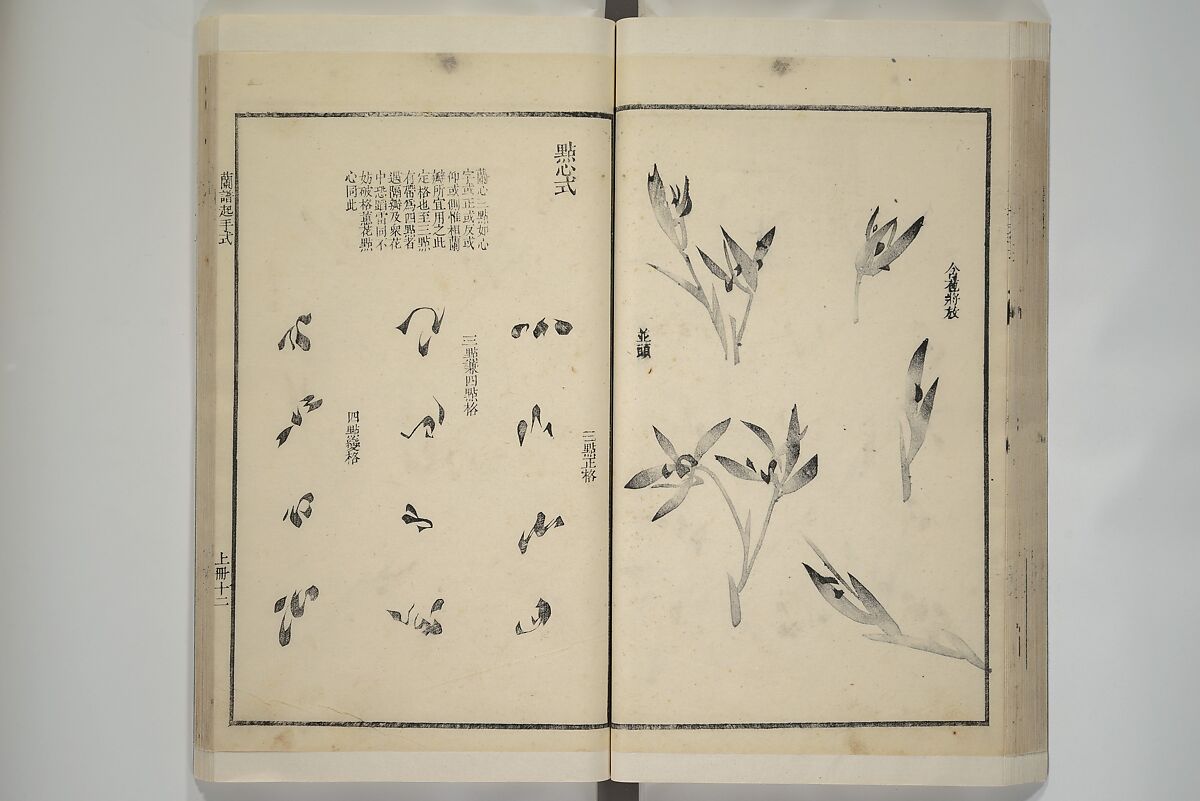 Part 2 from The Mustard Seed Garden Painting Manual (3rd Chinese edition)  芥子園畫傳, Wang Gai 王槩 (Chinese, 1645–1710), Set of four woodblock printed books; ink and color on paper, China