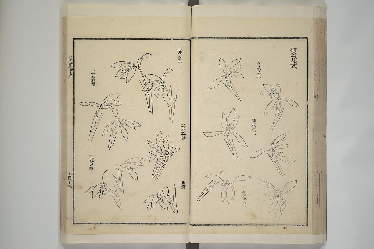 Part 2 from The Mustard Seed Garden Painting Manual (3rd Chinese edition)  芥子園畫傳, Wang Gai 王槩 (Chinese, 1645–1710), Set of four woodblock printed books; ink and color on paper, China