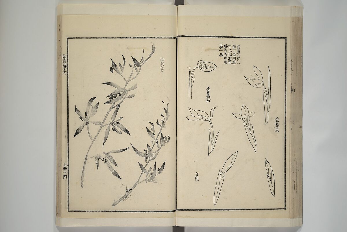 Part 2 from The Mustard Seed Garden Painting Manual (3rd Chinese edition)  芥子園畫傳, Wang Gai 王槩 (Chinese, 1645–1710), Set of four woodblock printed books; ink and color on paper, China