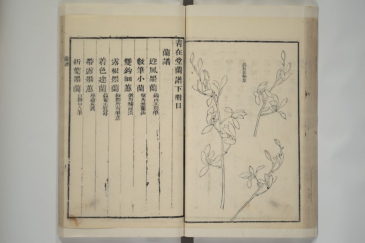 Part 2 from The Mustard Seed Garden Painting Manual (3rd Chinese edition)  芥子園畫傳, Wang Gai 王槩 (Chinese, 1645–1710), Set of four woodblock printed books; ink and color on paper, China