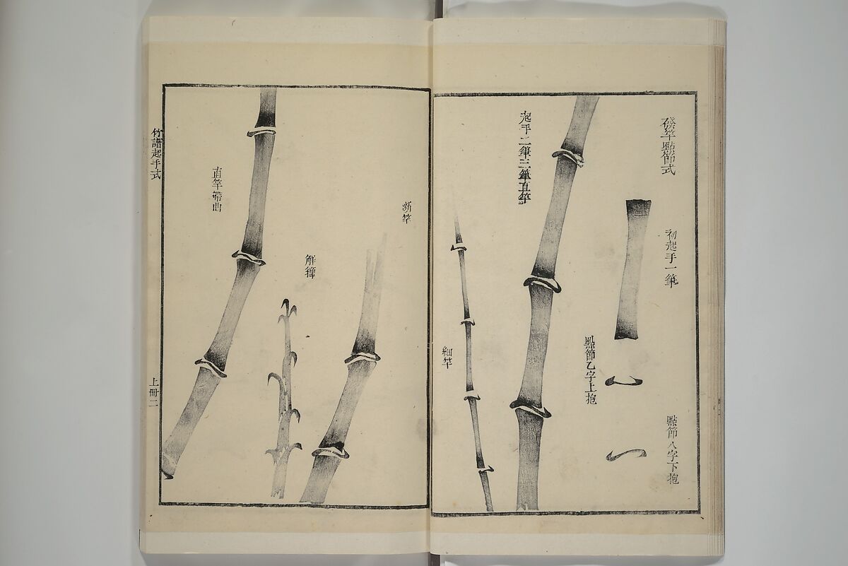 Part 2 from The Mustard Seed Garden Painting Manual (3rd Chinese edition)  芥子園畫傳, Wang Gai 王槩 (Chinese, 1645–1710), Set of four woodblock printed books; ink and color on paper, China