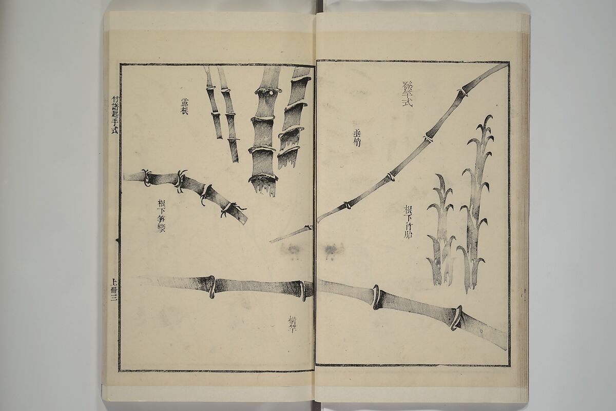 Part 2 from The Mustard Seed Garden Painting Manual (3rd Chinese edition)  芥子園畫傳, Wang Gai 王槩 (Chinese, 1645–1710), Set of four woodblock printed books; ink and color on paper, China
