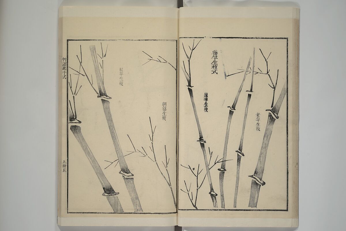 Part 2 from The Mustard Seed Garden Painting Manual (3rd Chinese edition)  芥子園畫傳, Wang Gai 王槩 (Chinese, 1645–1710), Set of four woodblock printed books; ink and color on paper, China