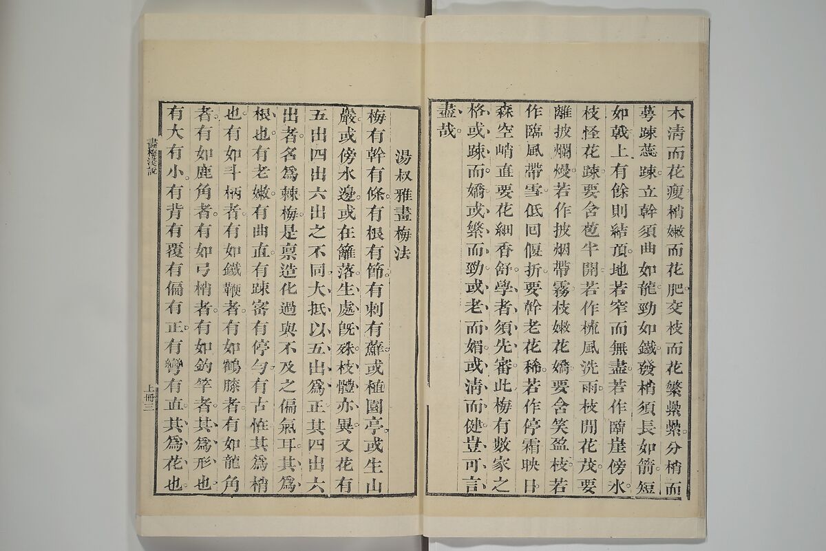 Part 2 from The Mustard Seed Garden Painting Manual (3rd Chinese edition)  芥子園畫傳, Wang Gai 王槩 (Chinese, 1645–1710), Set of four woodblock printed books; ink and color on paper, China