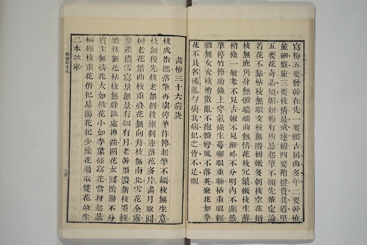 Part 2 from The Mustard Seed Garden Painting Manual (3rd Chinese edition)  芥子園畫傳, Wang Gai 王槩 (Chinese, 1645–1710), Set of four woodblock printed books; ink and color on paper, China