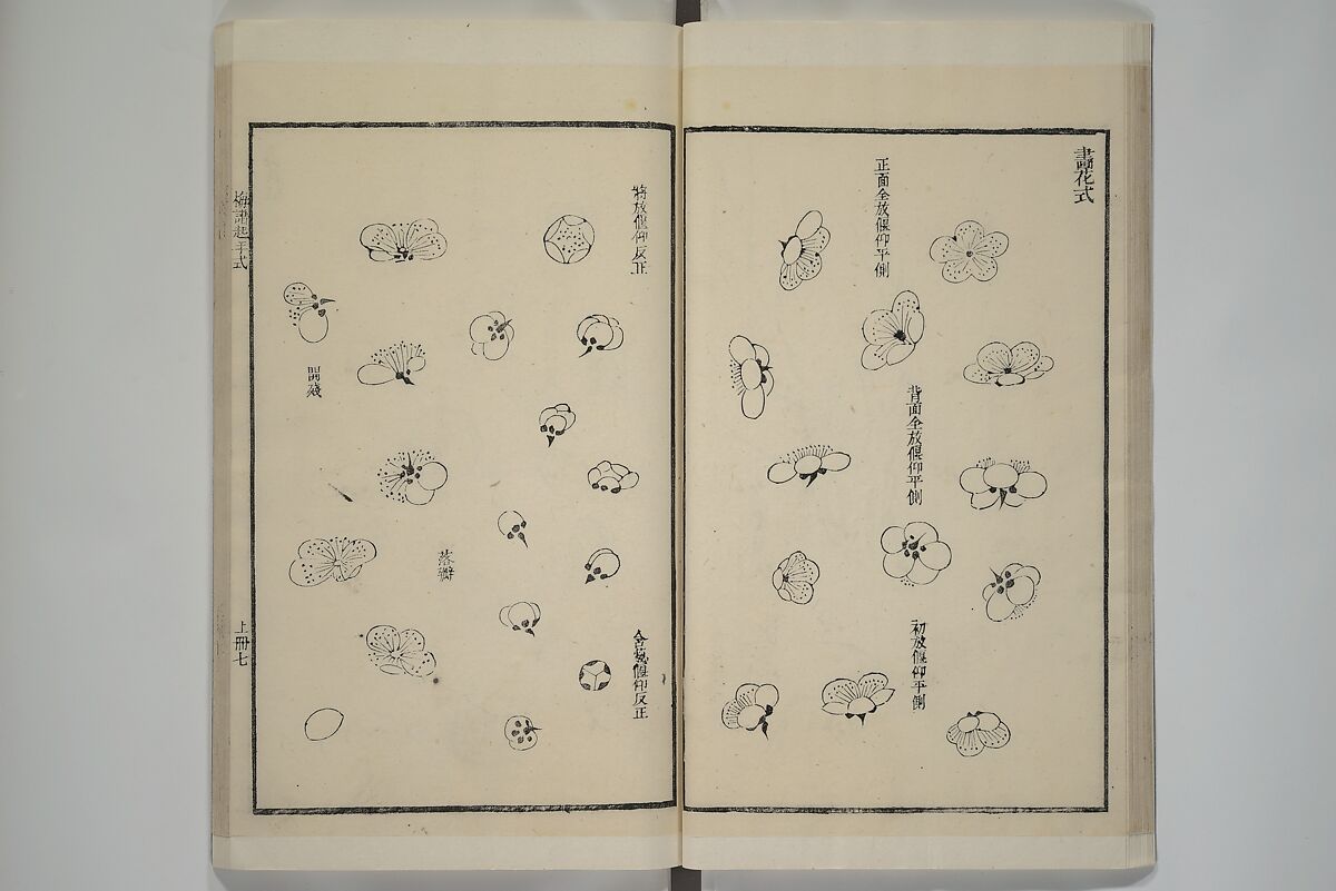 Part 2 from The Mustard Seed Garden Painting Manual (3rd Chinese edition)  芥子園畫傳, Wang Gai 王槩 (Chinese, 1645–1710), Set of four woodblock printed books; ink and color on paper, China
