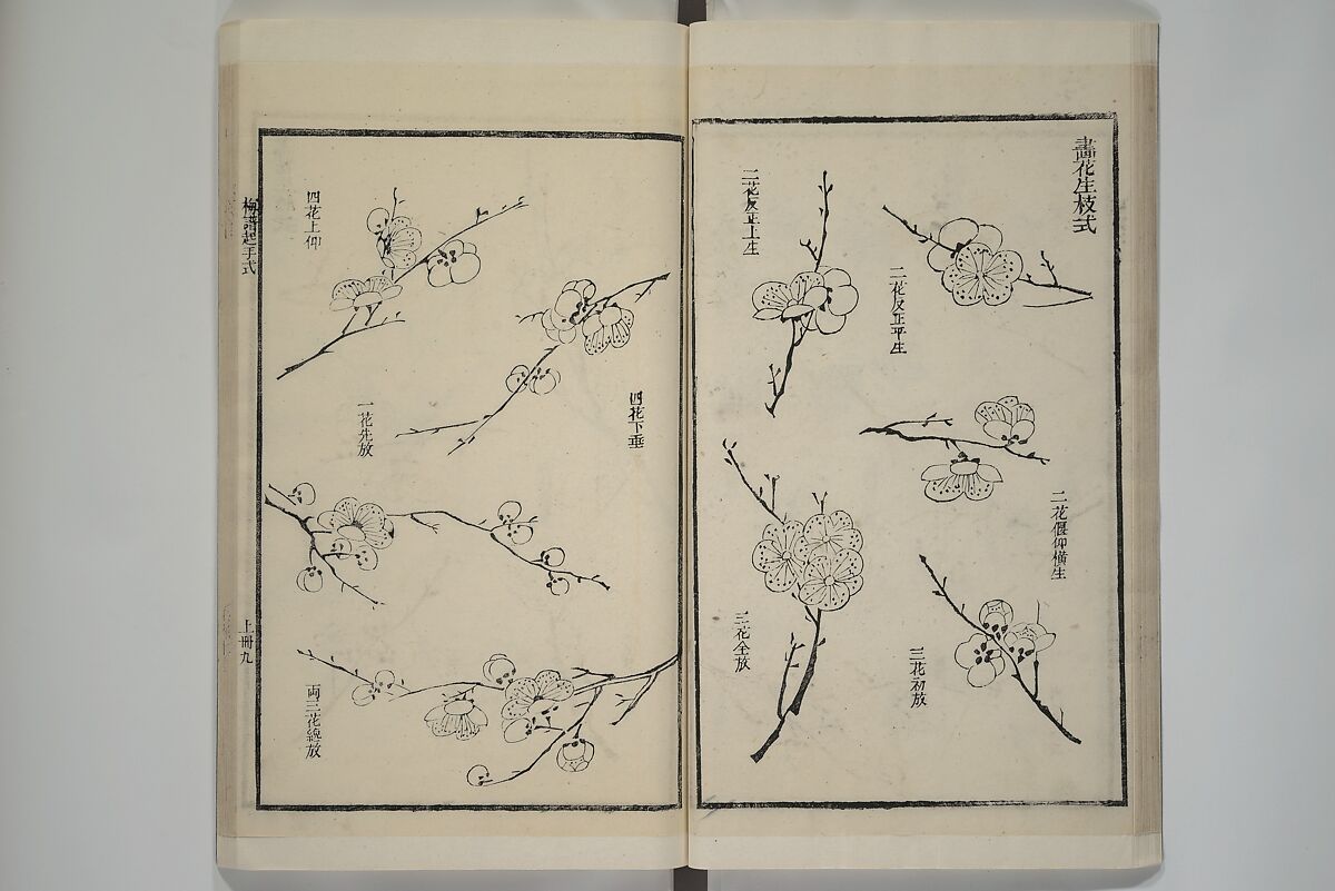 Part 2 from The Mustard Seed Garden Painting Manual (3rd Chinese edition)  芥子園畫傳, Wang Gai 王槩 (Chinese, 1645–1710), Set of four woodblock printed books; ink and color on paper, China