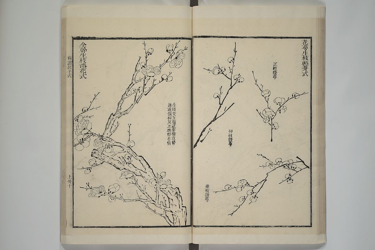 Part 2 from The Mustard Seed Garden Painting Manual (3rd Chinese edition)  芥子園畫傳, Wang Gai 王槩 (Chinese, 1645–1710), Set of four woodblock printed books; ink and color on paper, China